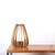 Five Ply Design - Cereus Lamp