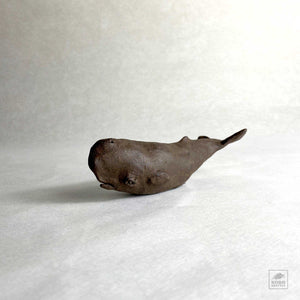 Cachalot Whale 02 - medium