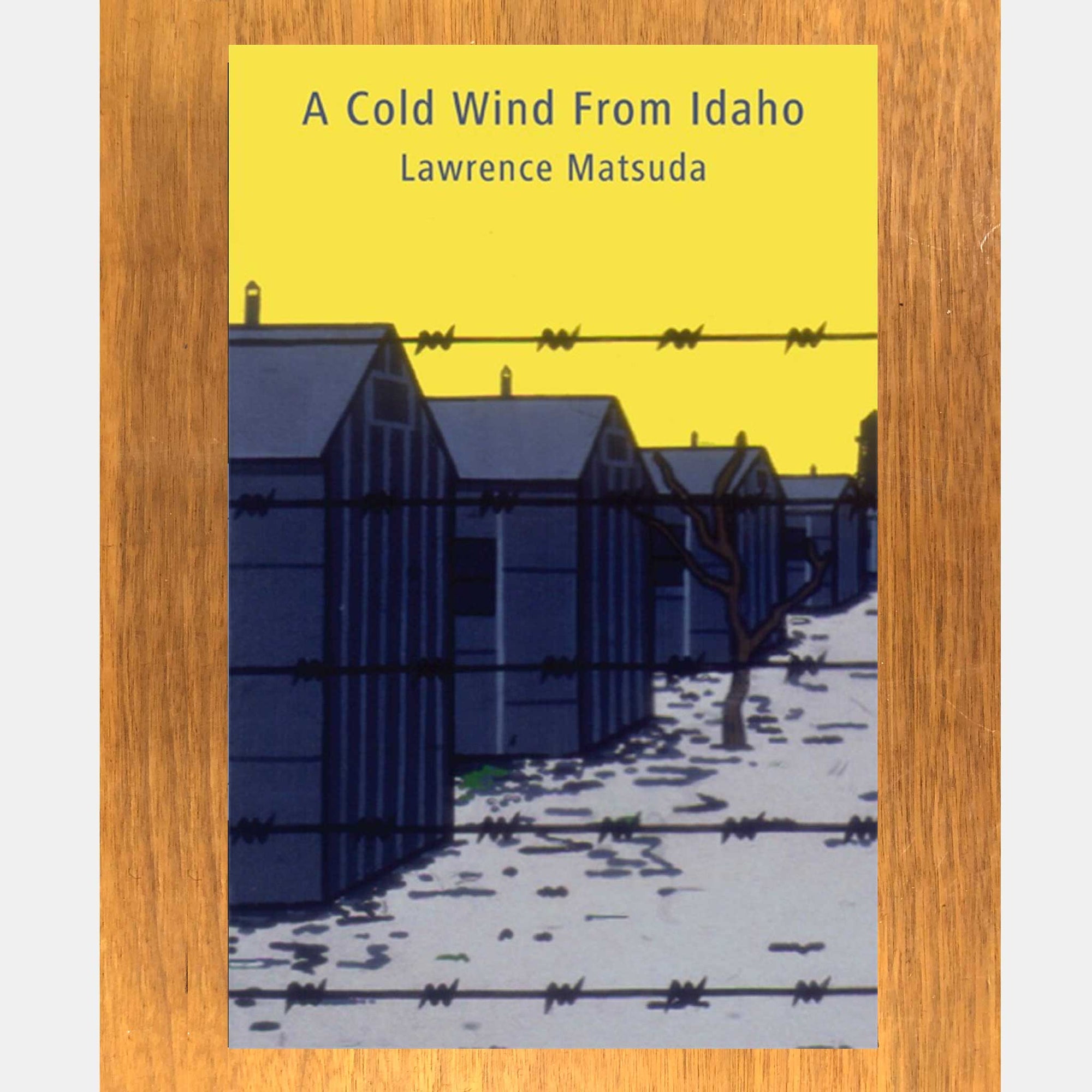 Book: A Cold Wind From Idaho
