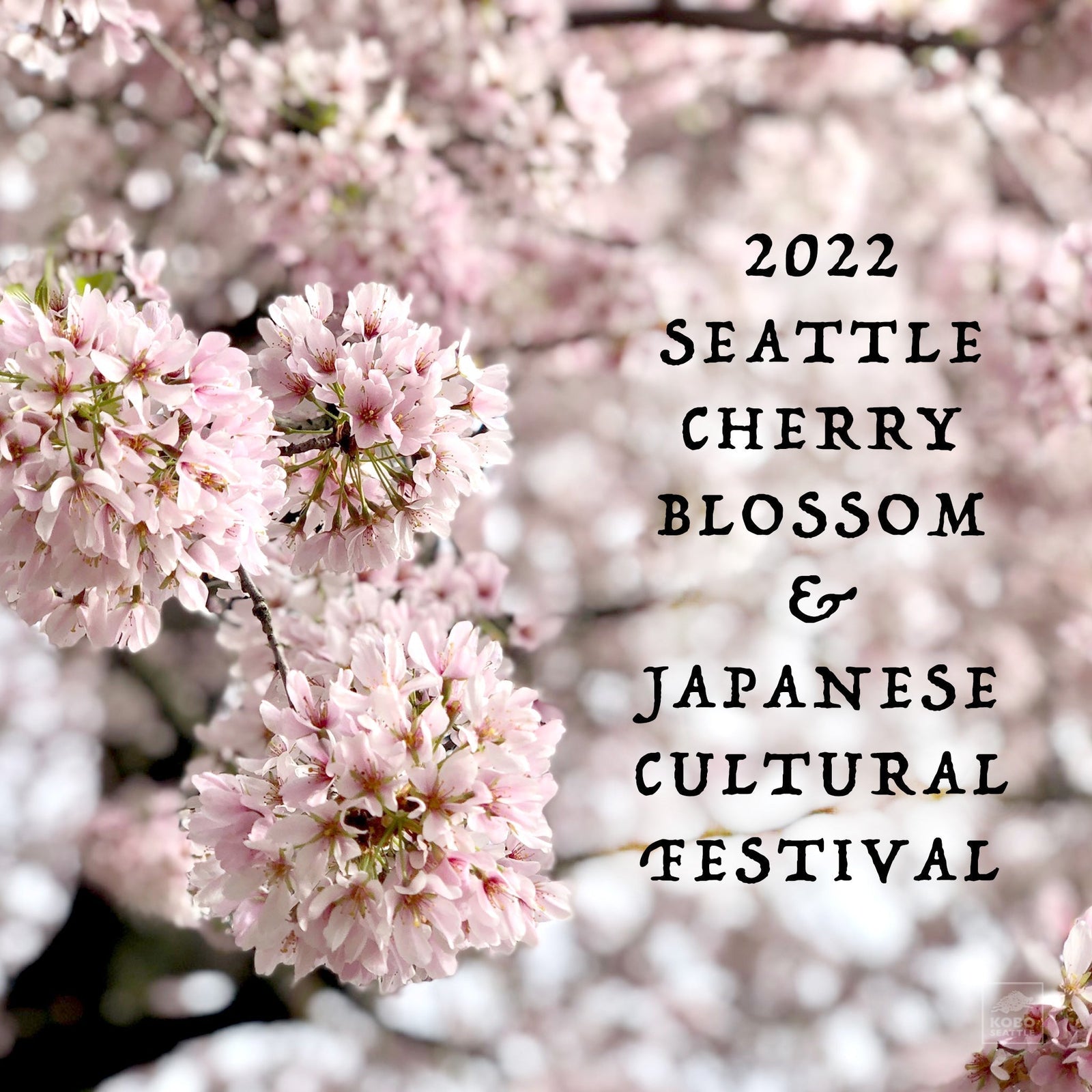 2022 Seattle Cherry Blossom & Japanese Cultural Festival, April 8-10, 2022