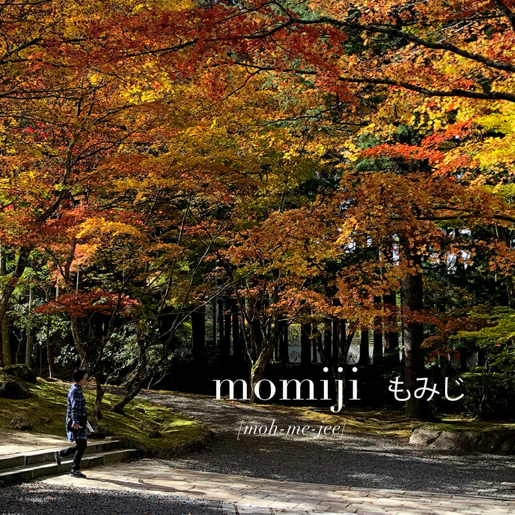 Mariko Sensei's Corner: A Monthly Japanese Language Column