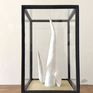 Paper Sculptures Intertwined 12 with Case - Jesi Asagi