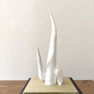 Paper Sculptures Intertwined 12 with Case - Jesi Asagi