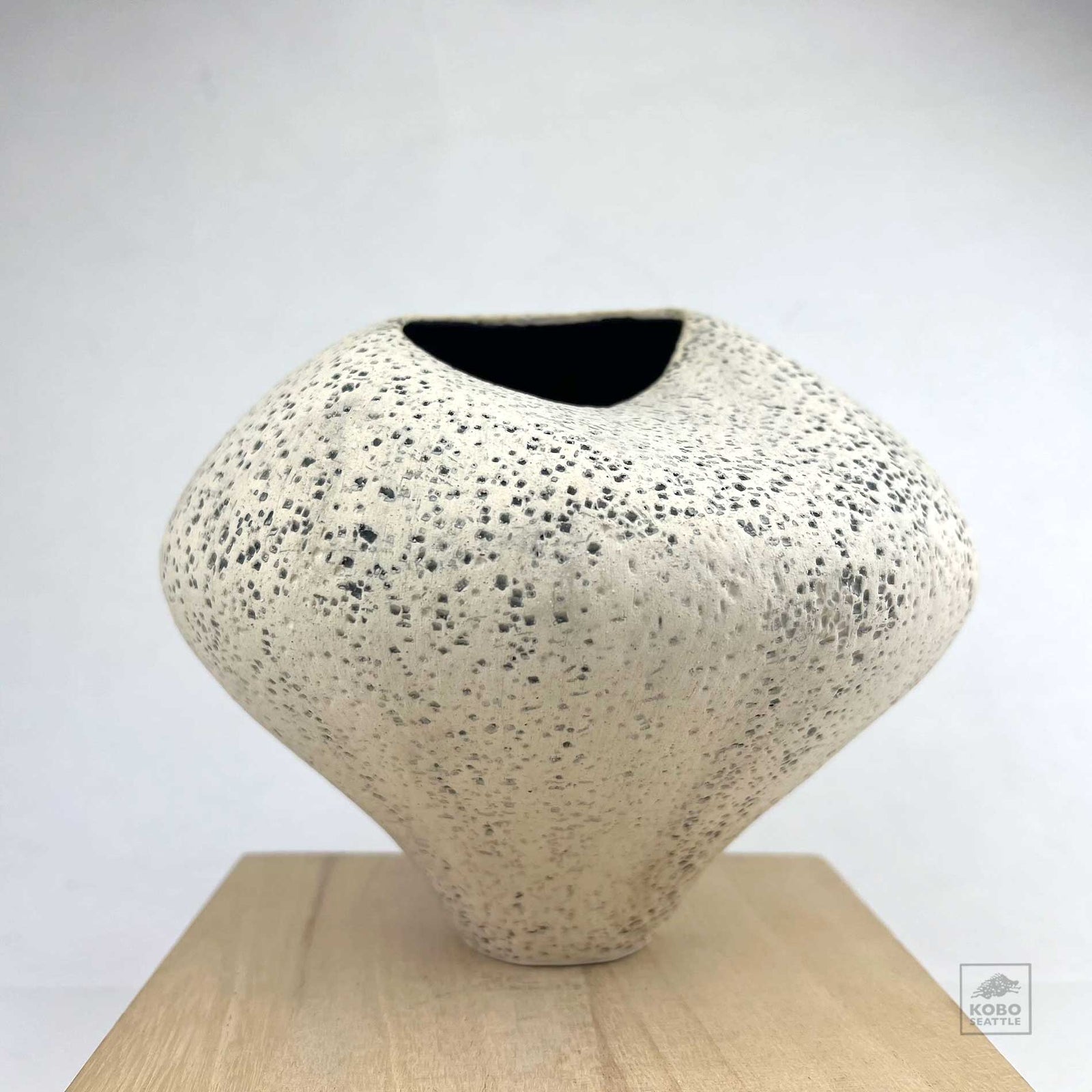 Asymmetrical Vase 04 by Aimee Bebeau