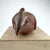 Bird: Cardinal 01 - Conrad Calimpong