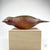 Bird: Grosbeak 02 - Conrad Calimpong