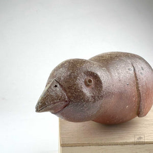 Bird: Grosbeak 02 - Conrad Calimpong