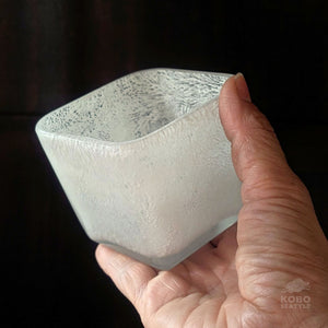 Sayuri Fukuda 02, 2026