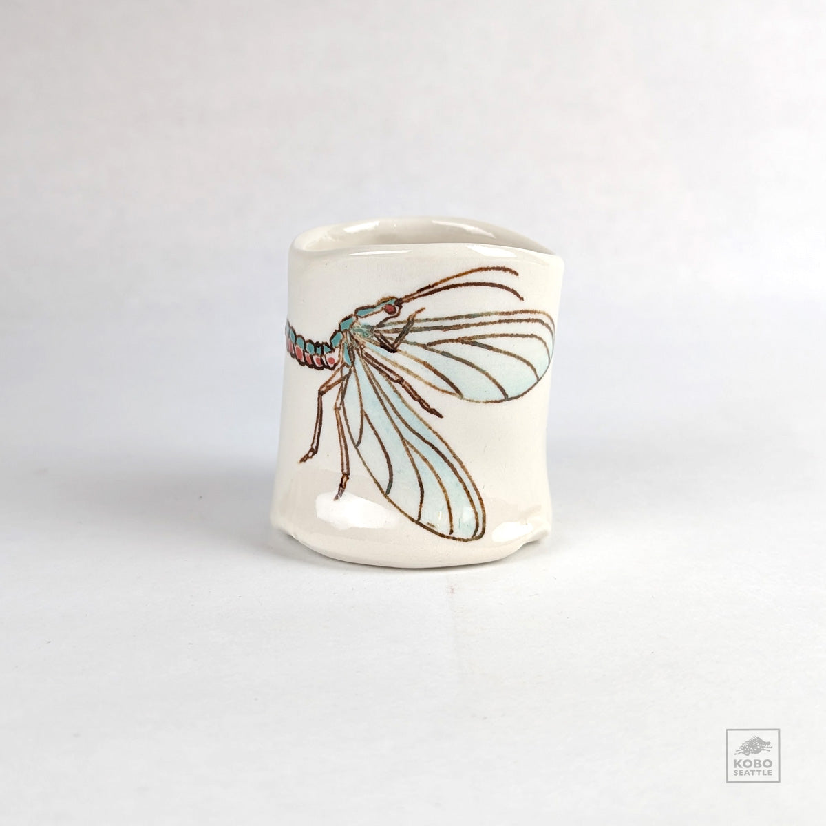 Colleen Gallagher 01