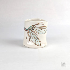 Colleen Gallagher 01