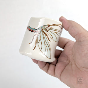 Colleen Gallagher 01