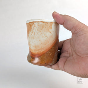 Colleen Gallagher 03