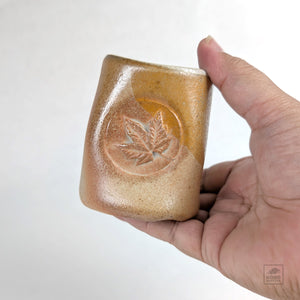 Colleen Gallagher 04