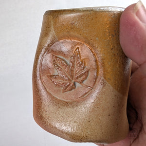 Colleen Gallagher 04