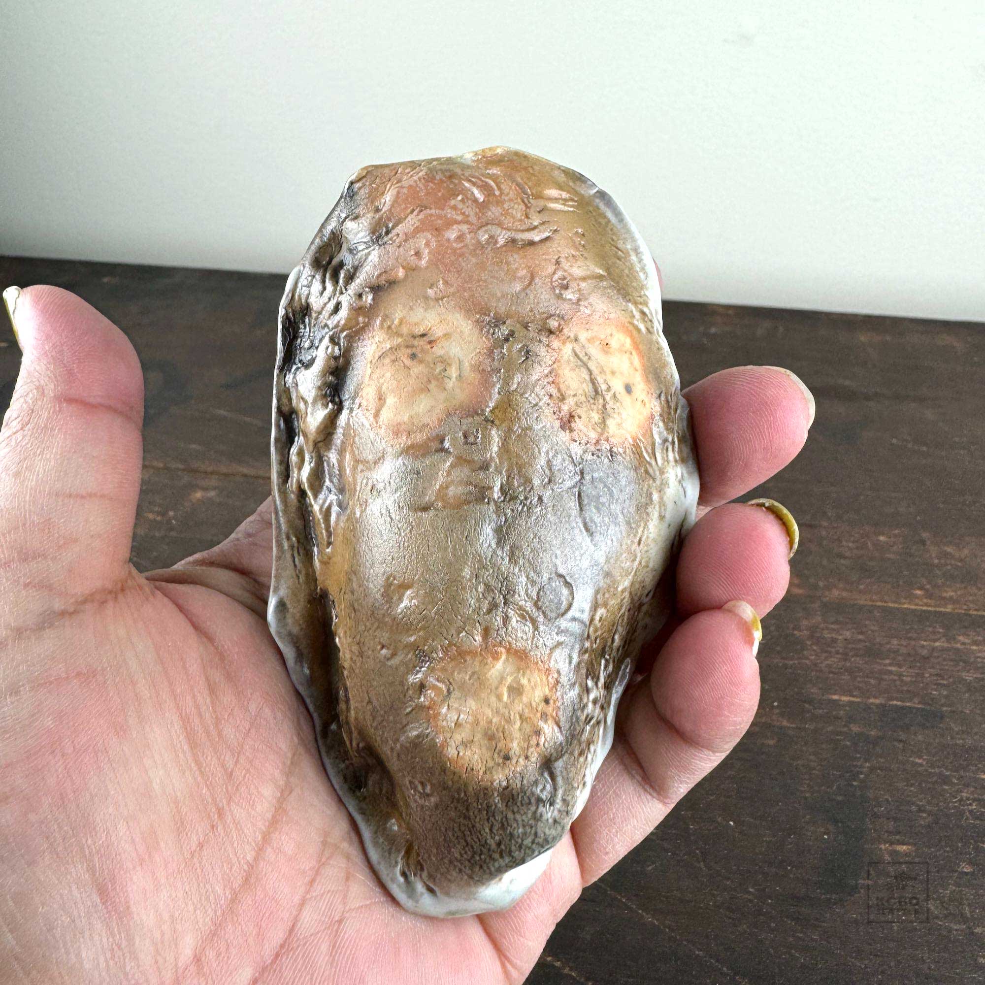 Oyster Shell Bowl B by Robin Hominiuk