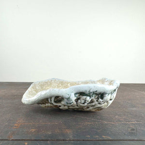 Oyster Shell Bowl C by Robin Hominiuk