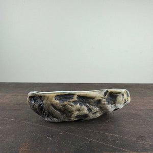 Oyster Shell Bowl D by Robin Hominiuk