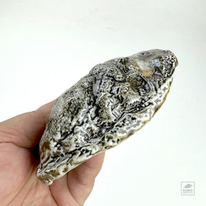 Oyster Shell Bowl "A" by Robin Hominiuk