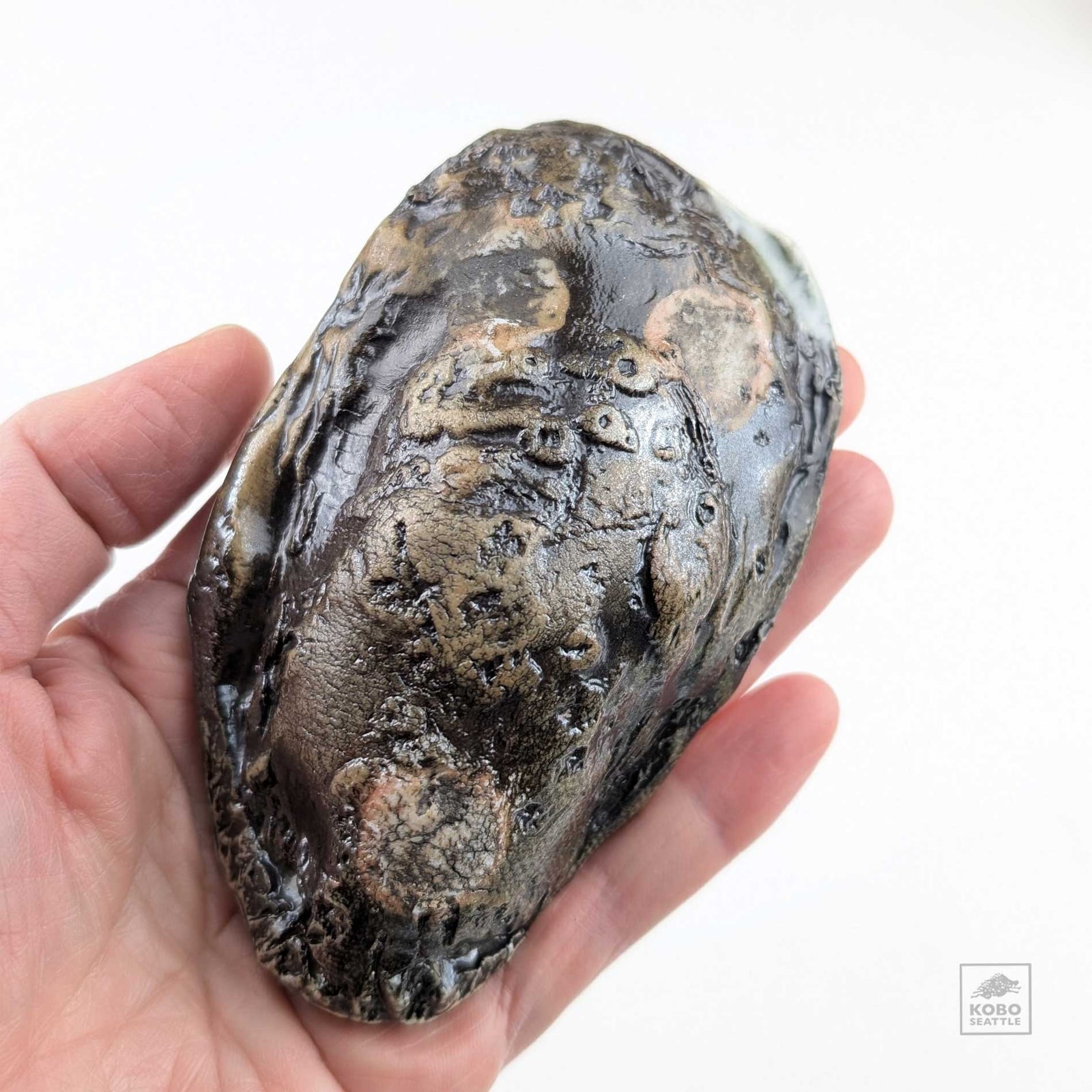 Oyster Shell "A" by Robin Hominiuk