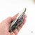 Oyster Shell "A" by Robin Hominiuk