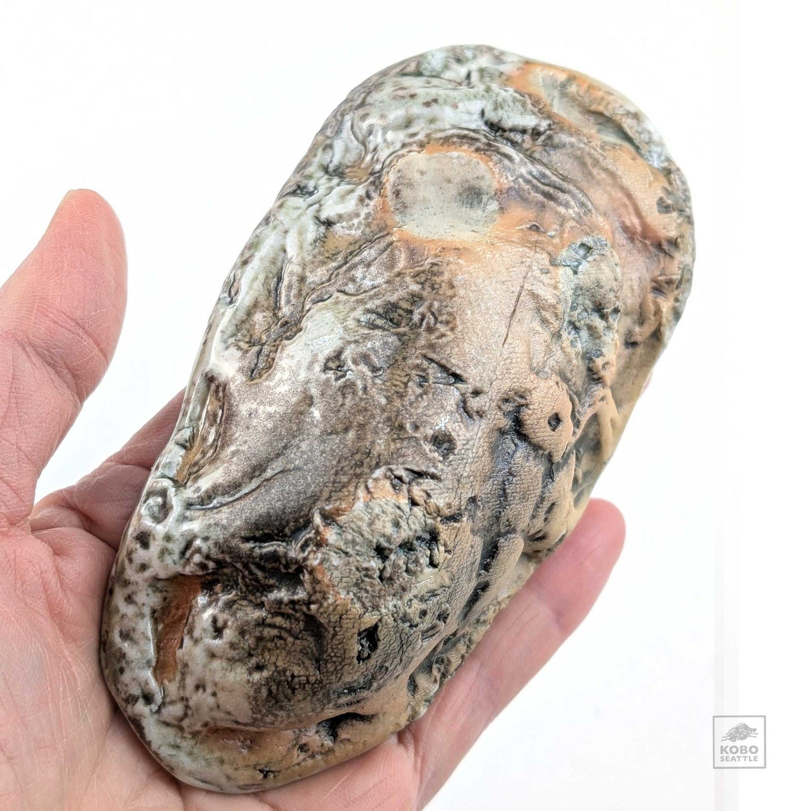 Oyster Shell "B" by Robin Hominiuk
