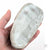 Oyster Shell "B" by Robin Hominiuk