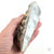 Oyster Shell "B" by Robin Hominiuk