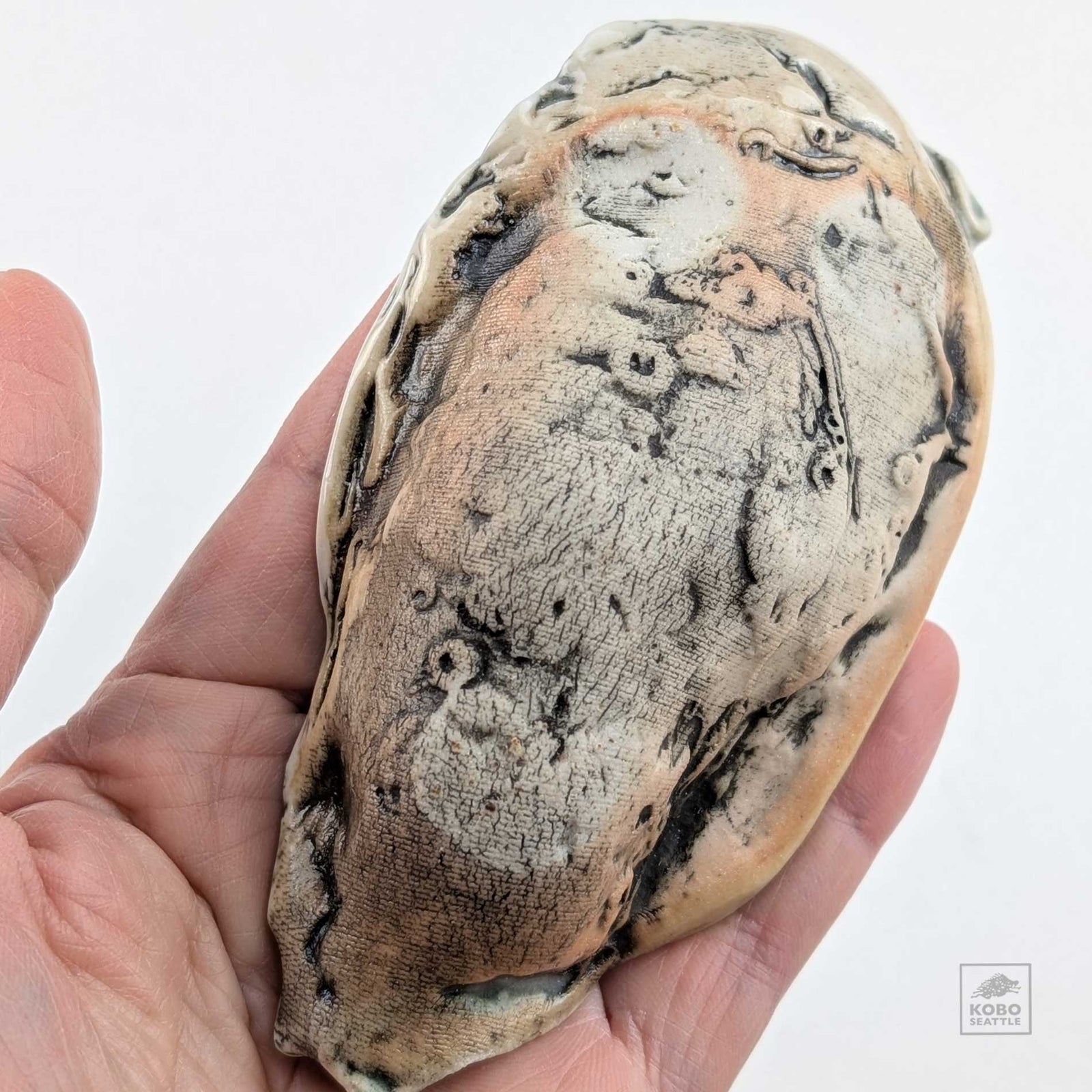 Oyster Shell "C" by Robin Hominiuk