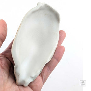 Oyster Shell "C" by Robin Hominiuk
