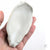 Oyster Shell "C" by Robin Hominiuk