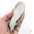Oyster Shell "C" by Robin Hominiuk