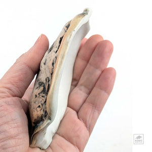 Oyster Shell "C" by Robin Hominiuk
