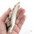 Oyster Shell "C" by Robin Hominiuk