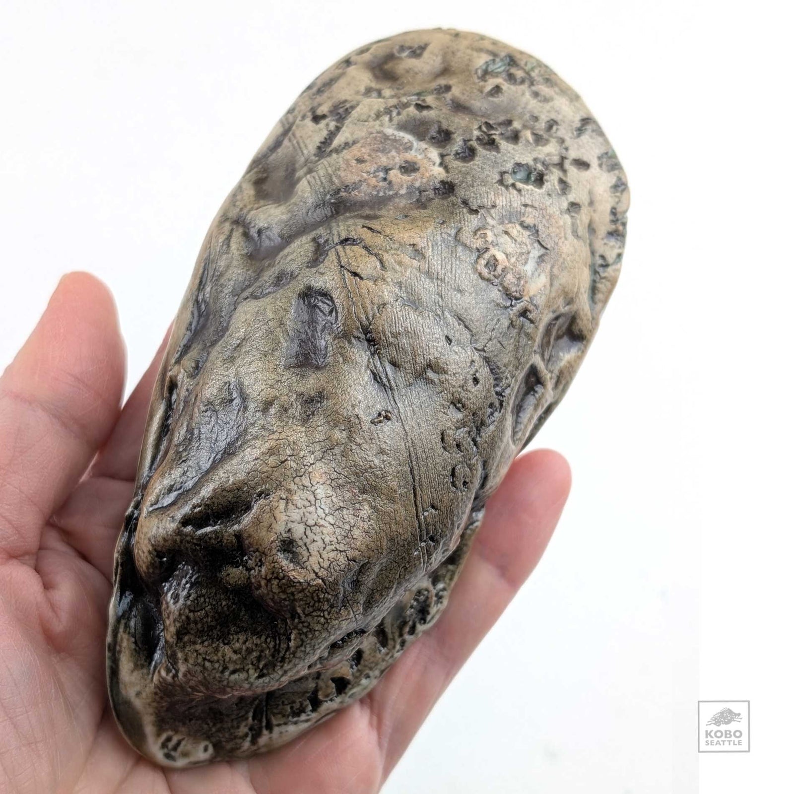 Oyster Shell "D" by Robin Hominiuk