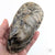 Oyster Shell "D" by Robin Hominiuk