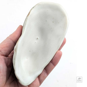 Oyster Shell "D" by Robin Hominiuk