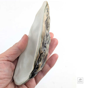 Oyster Shell "D" by Robin Hominiuk