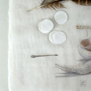 (myth.) by Jesianne Asagi