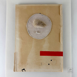 (wheel) by Jesianne Asagi