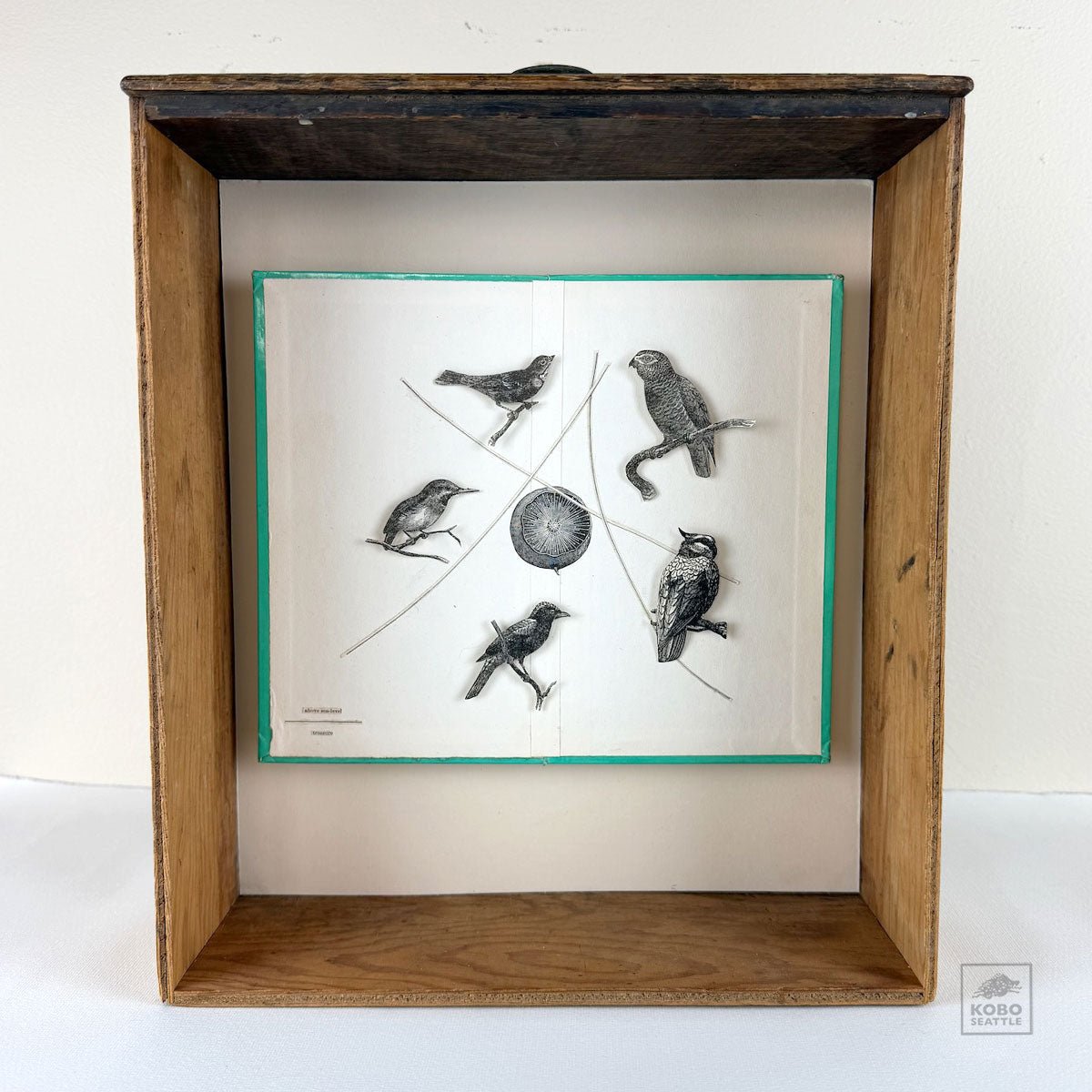 (treasure) by Jesianne Asagi