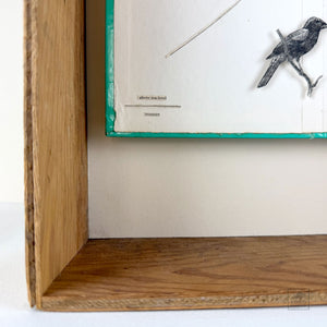 (treasure) by Jesianne Asagi