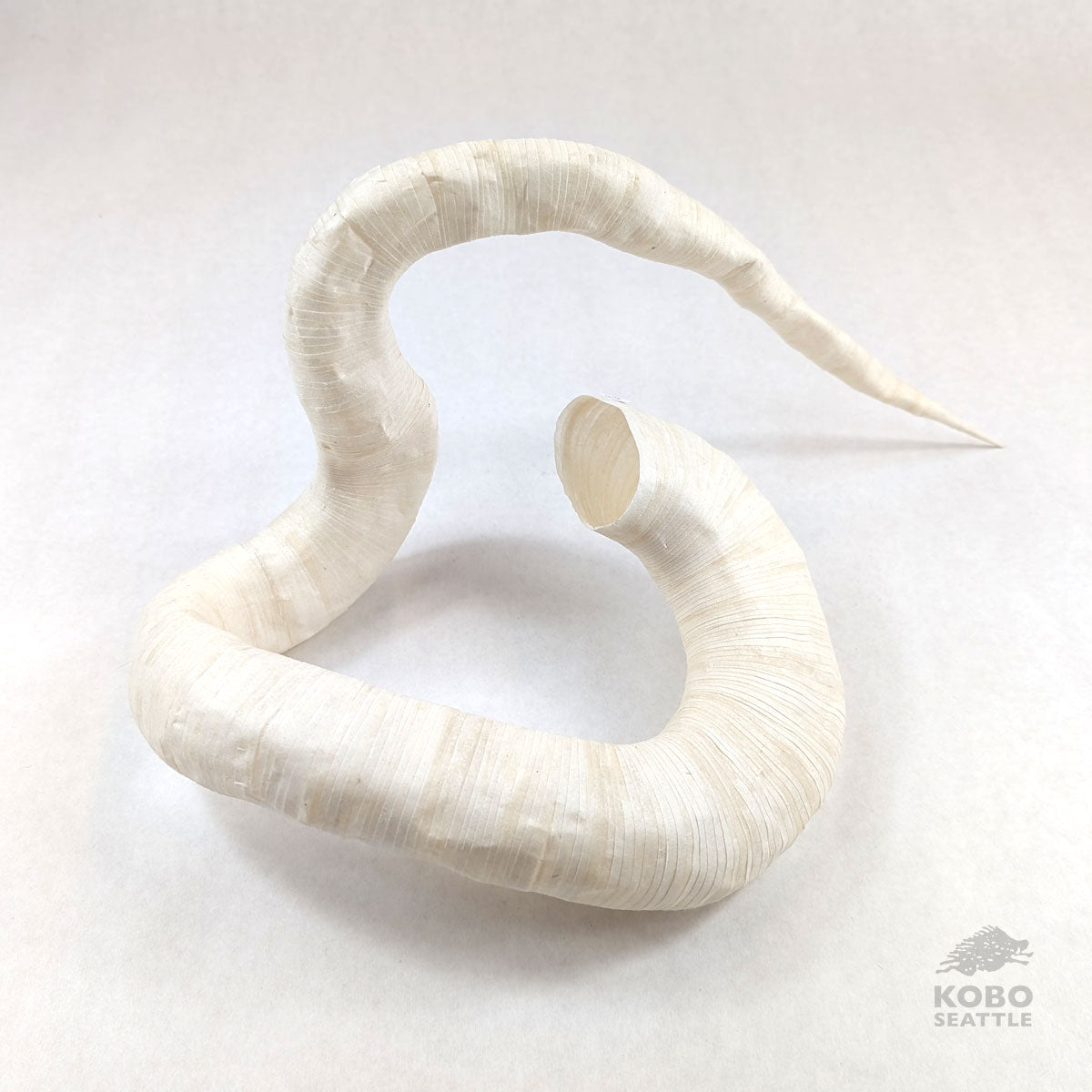 Large Winding Paper Sculpture 15 - Jesi Asagi
