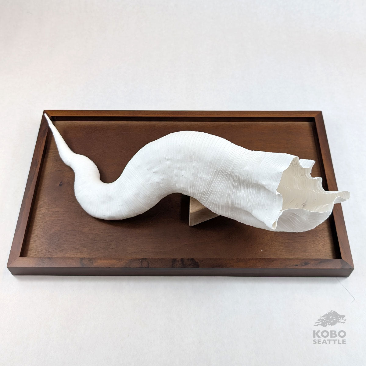 Large Paper Sculpture 17 - Jesi Asagi