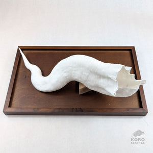 Large Paper Sculpture 17 - Jesi Asagi