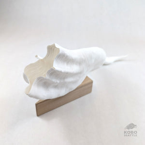Large Paper Sculpture 17 - Jesi Asagi