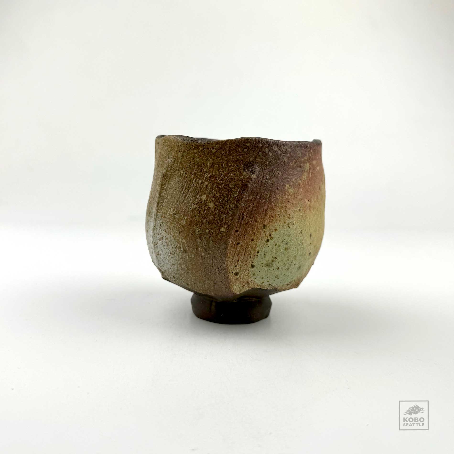 Shikha Joshi 04 - KoboSeattle