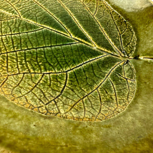 Green Leaf Plate 23 by Koichi Ichikawa