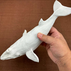 Minke Whale 12 porcelain by Lisa Asagi