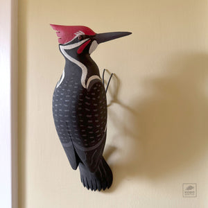 Pileated Woodpecker, Looking Right by Michael Zitka