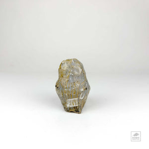 Owl Sculpture 63 by Aaron Murray